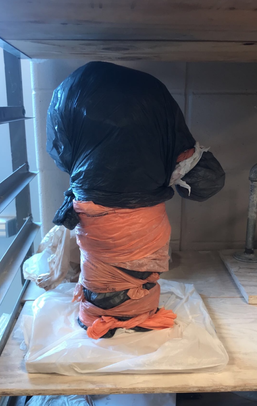 Sculpture process step 1